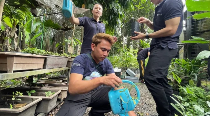 A Telcowinner watering a young sapling